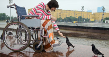 Woman in wheelchair feeds pigeons in street cities