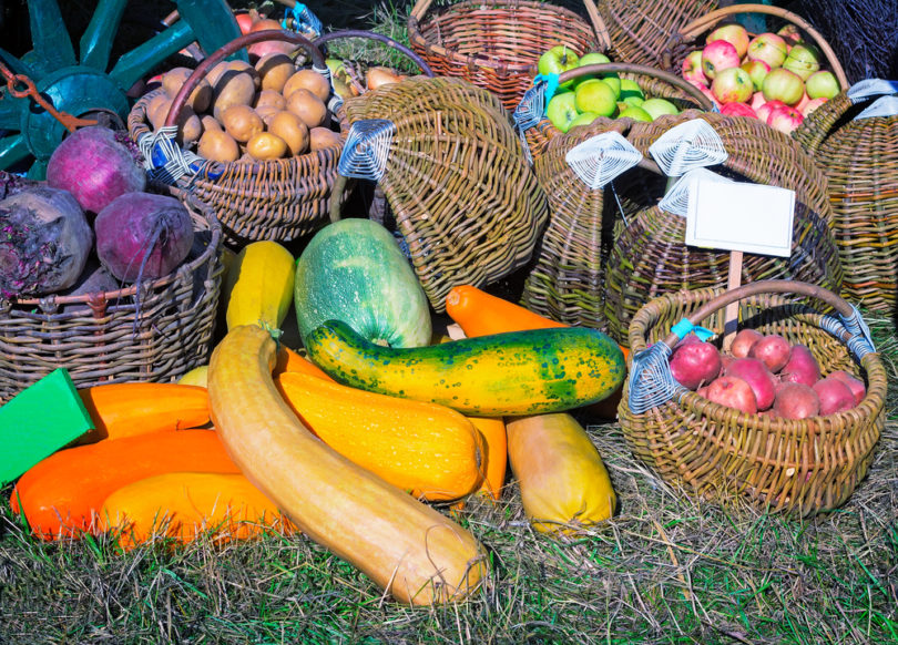 At a village cart are for sale at the fair variety of vegetables: pumpkin, onions, beets, zucchini, and green twigs.